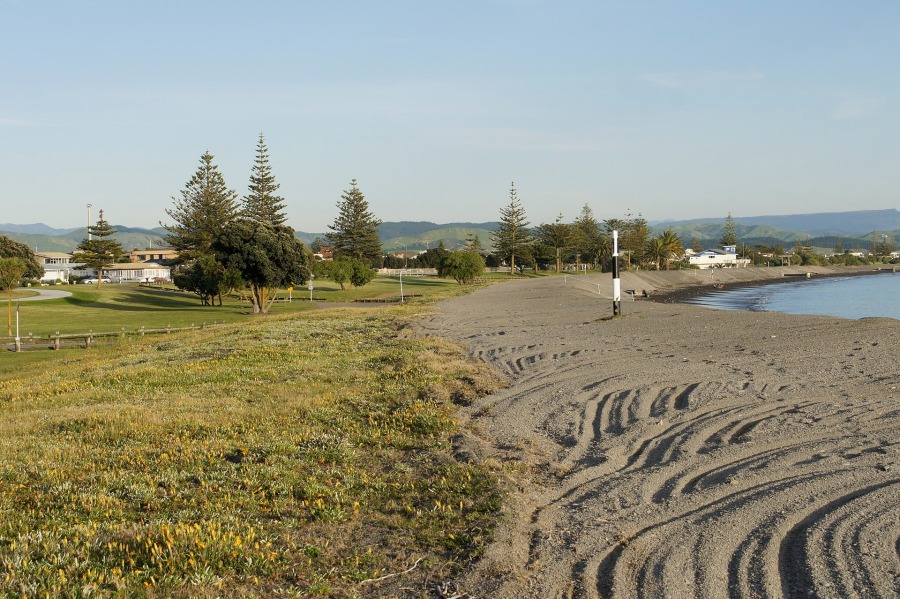 Westshore Beach attraction